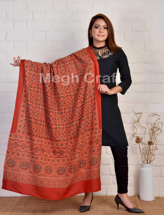 Vêtements traditionnels Ajrakh volé Dupatta